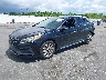5NPE34AF1HH****** Used and Repairable 2017 Hyundai Sonata in Clearwater