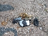 1GTHK23U21F****** Wrecked 2001 GMC Sierra 2500 HD in Indiana State
