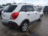 3GNAL2EK0DS****** Salvage and Wrecked 2013 Chevrolet Captiva Sport in Texas State