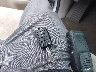 KNDMA5C14J6****** Salvage 2018 Kia Sedona in Maryland State