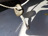 JTNBE46K173****** Salvage 2007 Toyota Camry in New Hampshire State