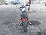 SMT910K196J****** Salvage and Repairable 2006 Triumph Bonneville in California State