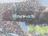 3N1CP5BV9ML****** Used 2021 Nissan Kicks in Nashville