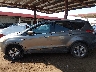 1FMCU0GX6EU****** Salvage 2014 Ford Escape