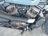 1HD1ZC418RB****** Wrecked 2024 Harley-Davidson Sportster in Rec Rides Online Exclusive