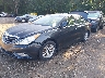 5NPEB4AC9DH****** Usados y Reparables 2013 Hyundai Sonata en Long Island