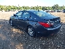 5NPEB4AC9DH****** Salvamento y Reparables 2013 Hyundai Sonata en Long Island