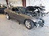 1ZVBP8AM4E5****** Salvamento y Destrozados 2014 Ford Mustang en Provo
