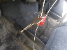 1FTNW21F8YE****** Salvage 2000 Ford F-250 in Texas State