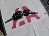 4T1BF1FK3FU****** Salvage 2015 Toyota Camry in Texas State