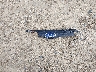 JF2SJARCXHH****** Destrozados 2017 Subaru Forester en Estado de Georgia