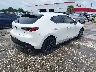 JM1BPBMM1P1****** Salvamento y Destrozados 2023 Mazda 3 en Estado de Florida