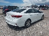 5NPE34AF6KH****** Salvage and Wrecked 2019 Hyundai Sonata in Florida State