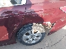 1HGCP26479A****** Salvamento y Reparables 2009 Honda Accord en Estado de Texas