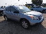 5J6RE48509L****** Salvage and Wrecked 2009 Honda CR-V in Philadelphia