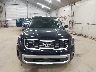 5XYP6DGC0RG****** Salvamento 2024 Kia Telluride en Erie