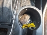 KM8J3CA29HU****** Salvamento 2017 Hyundai Tucson en Estado de Nueva York