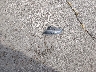 3GKALTEV7NL****** Wrecked 2022 GMC Terrain in Missouri State