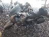 JKAZGCA142B****** Usados y Reparables 2002 Kawasaki Concours en Chicago North