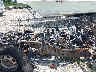 1FTEX1CB9KF****** Wrecked 2019 Ford F-150 in Orlando North