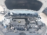 5NPD84LFXKH****** Repairable 2019 Hyundai Elantra in Saint Louis