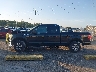 1FTFX1EF8GF****** Salvage 2016 Ford F-150