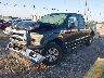 1FTFX1EF8GF****** Used and Repairable 2016 Ford F-150 in Tampa