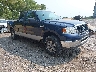 1FTRX12W97F****** Salvamento y Destrozados 2007 Ford F-150 en Indianapolis