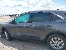 1FMCU0GN7RU****** Reparables 2024 Ford Escape en Estado de Texas