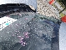 19XFL1H77PE****** Salvage and Repairable 2023 Honda Civic in Mississippi State