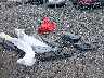 50EA1TEAXRA****** Wrecked 2024 Lucid Air in Virginia State