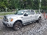 1FTFW1EV1AF****** Used and Repairable 2010 Ford F-150 in Pulaski