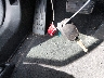 19XFA1F66AE****** Salvamento 2010 Honda Civic en Estado de Virginia