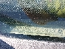 3D7KS29C66G****** Usados 2006 Dodge Ram 2500 en Dallas