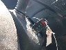 2HGFB2F53EH****** Salvage 2014 Honda Civic in Florida State