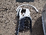 WA1AUCF31M1****** Wrecked 2021 Audi Q3 in Texas State