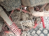 1HFVE06E2L4****** Usados 2020 Honda SXS1000S (Talon 1000) en Rec Rides Online Exclusive