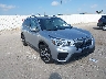JF2SKAEC8KH****** Salvamento y Destrozados 2019 Subaru Forester en Dallas