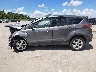 1FMCU0GX0EU****** Salvage 2014 Ford Escape