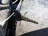 JS1GR7GA712****** Salvamento 2001 Suzuki Katana 750 en Estado de California