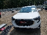 3GKALMEV1LL****** Wrecked 2020 GMC Terrain in Tennessee State