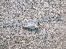 1FM5K8HT5GG****** Destrozados 2016 Ford Explorer en Estado de Wisconsin