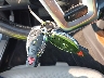 WDDHF9BB9DA****** Salvage 2013 Mercedes-Benz E 550 in Maryland State