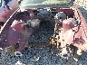 WBABG1324TE****** Repairable 1996 BMW 3 Series in San Diego