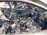 4S3BL616596****** Used and Repairable 2009 Subaru Legacy in Montana State