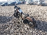 1HD4LE237BC****** Salvamento y Reparables 2011 Harley-Davidson Iron 883 en Rec Rides Online Exclusive