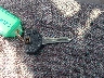 1J4FJ68S2WL****** Salvamento 1998 Jeep Cherokee en Estado de Illinois