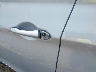 5NPEB4AC4BH****** Used 2011 Hyundai Sonata in Michigan State