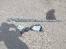 3TMLB5JN6TM****** Wrecked 2026 Toyota Tacoma in Arizona State