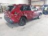 2T3F1RFV0KW****** Salvamento y Destrozados 2019 Toyota RAV4 en Estado de Nueva York